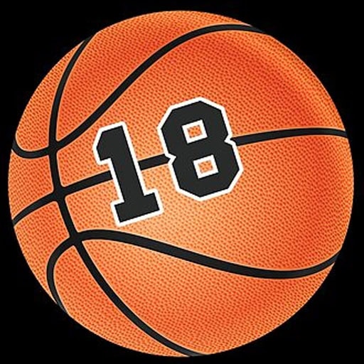 Egy magyar kosaras naplója – USA kalandok