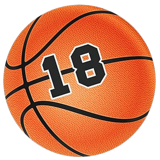 Egy magyar kosaras naplója – USA kalandok